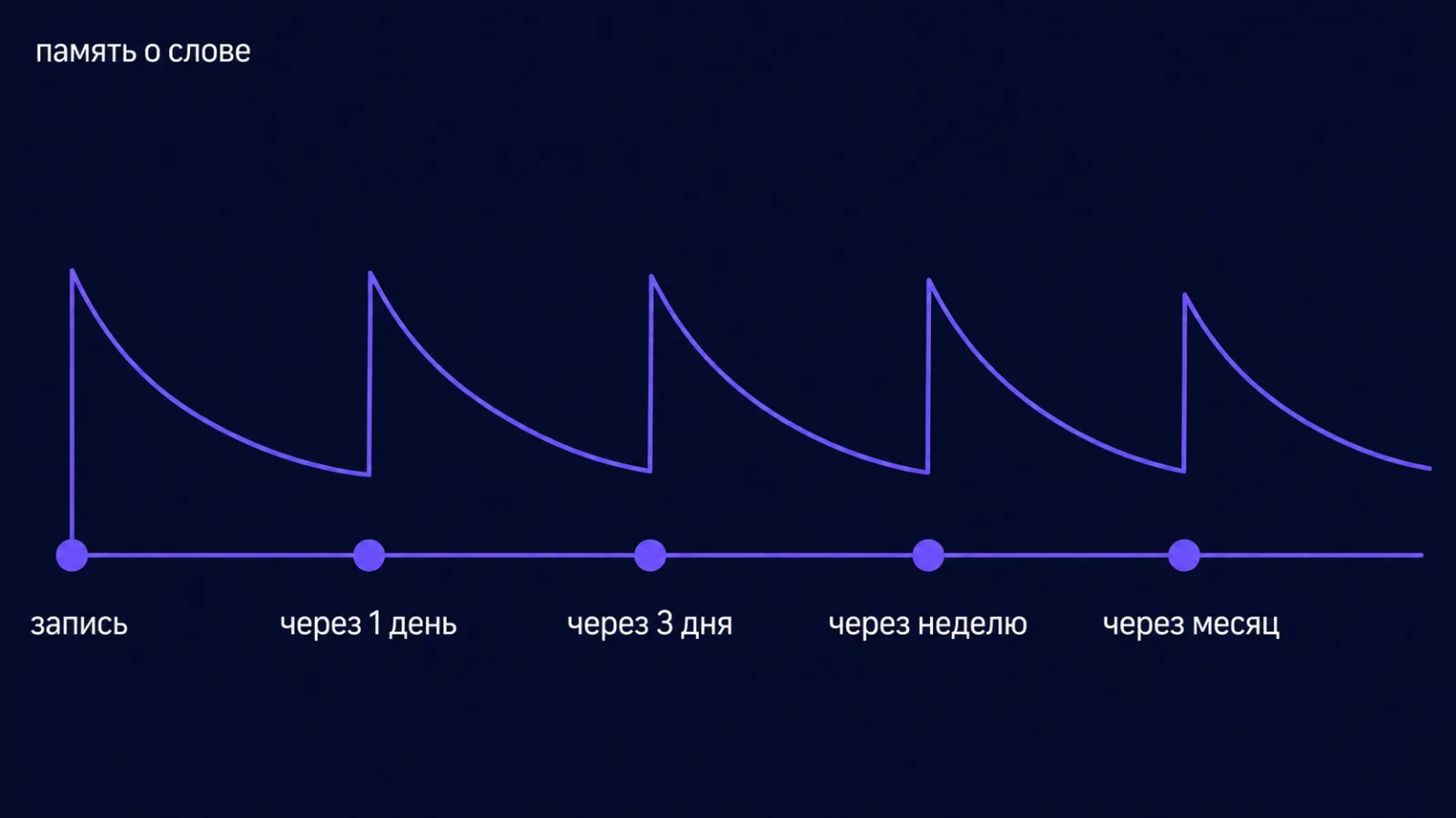 График повторений слова: запись, через день, через три дня, через неделю, через месяц