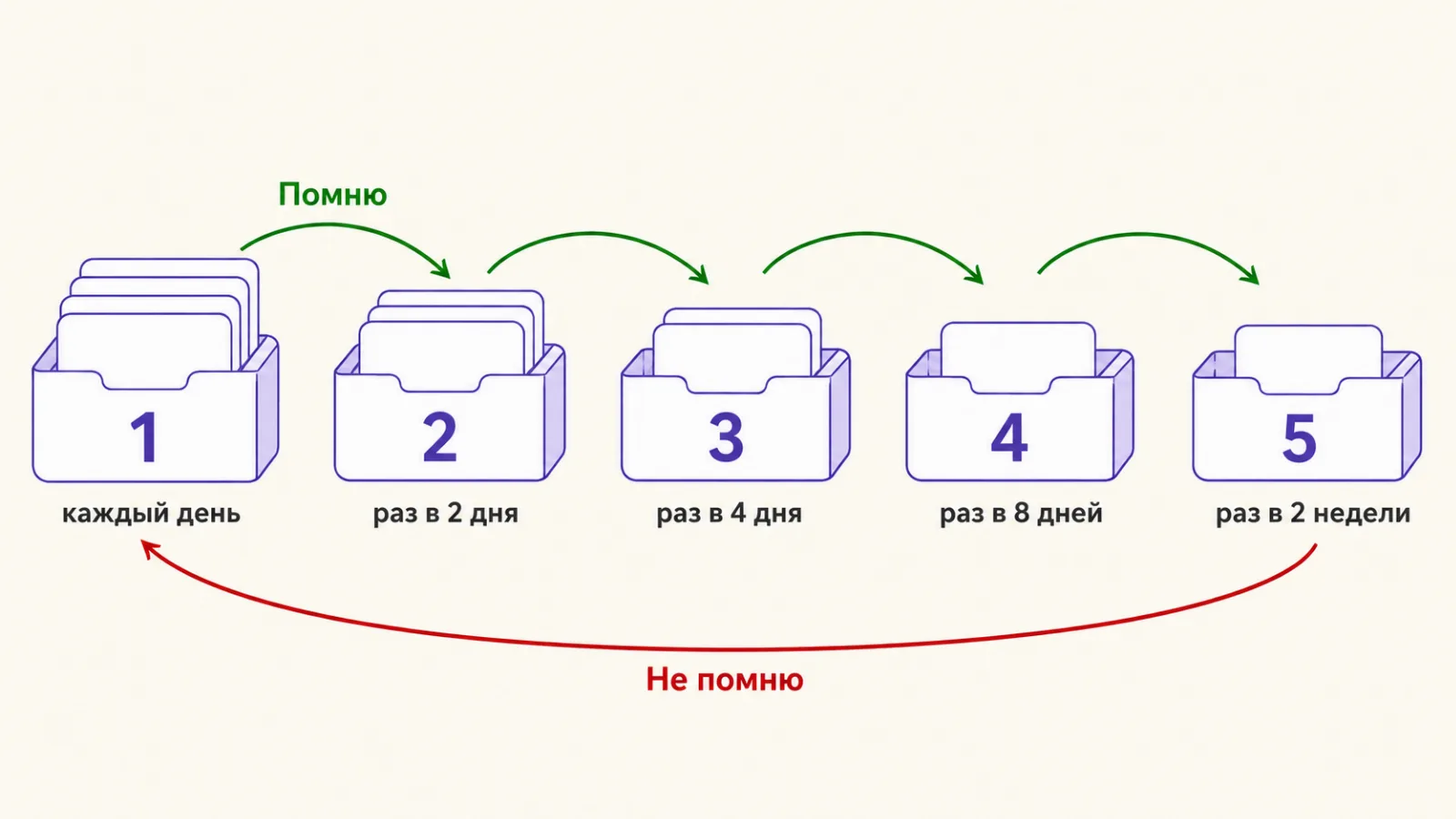 Схема системы Лейтнера: пять отделений с интервалами повторения