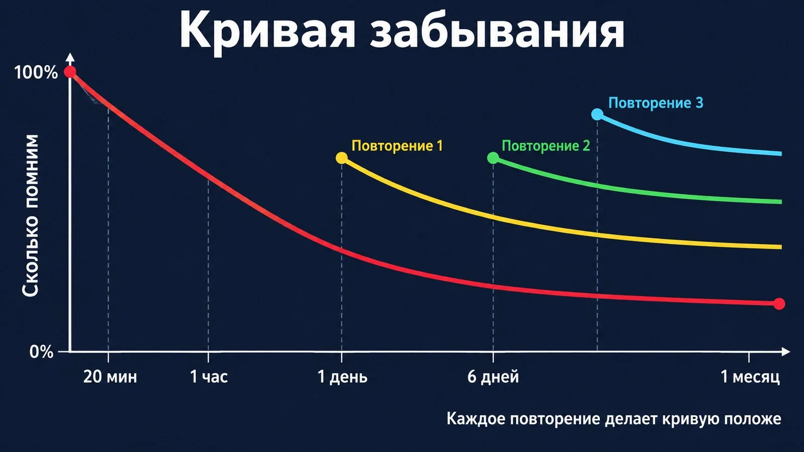 Кривая забывания Эббингауза и как каждое повторение делает её положе