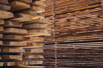 sawmill — лесопилка