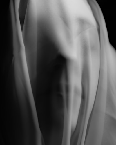 Veiled — завуалированный