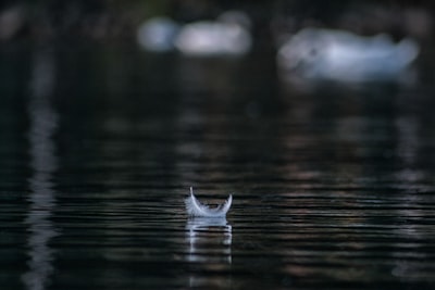 stillness — безмолвие