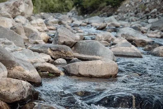 tiha voda breg roni — в тихом омуте черти водятся