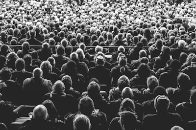 Audience member — зритель