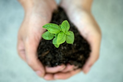 nurturing — заботливый