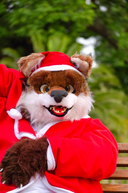 fursuits — фурсьюты