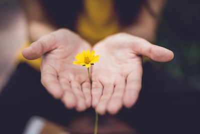 healing — исцеление