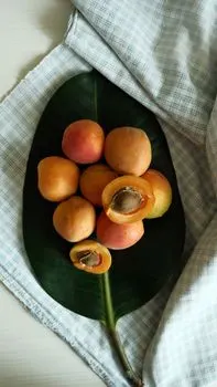 apricot — абрикос