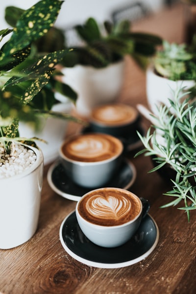 cafetería — кафе
