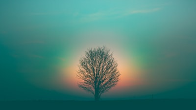 spirit — дух