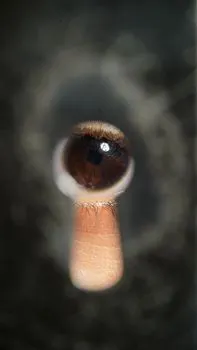 Peered — Заглянул
