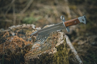 Bayonet — штык