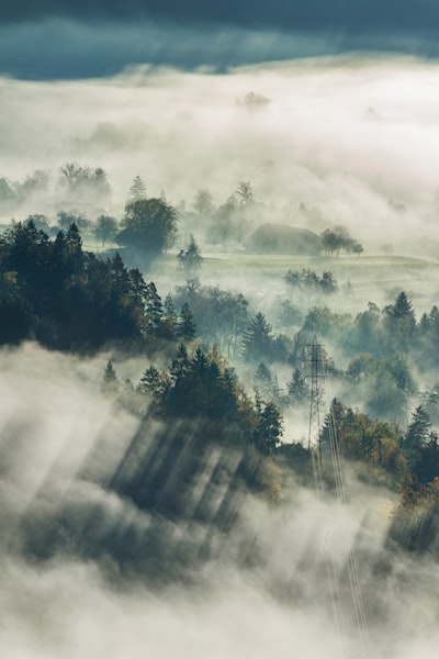 Misty morning — туманное утро