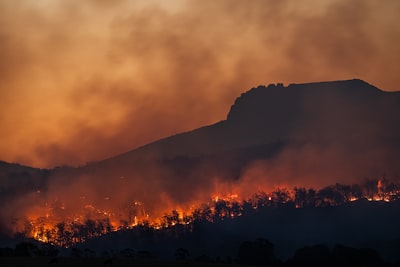 climate — климат