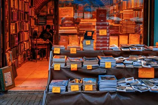 Die Bücher sind teuer — книги дорогие