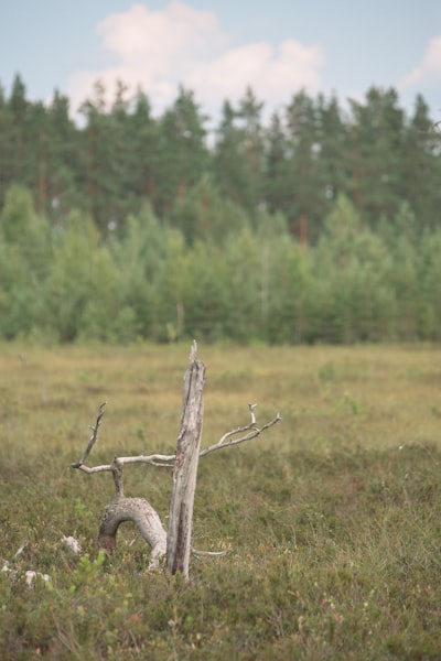 snag — загвоздка
