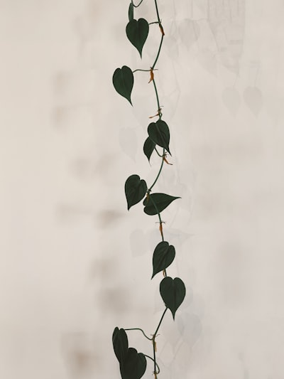 To abide by — соблюдать
