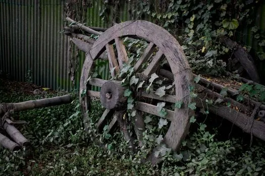 Brought out the best — Раскрыл лучшие качества