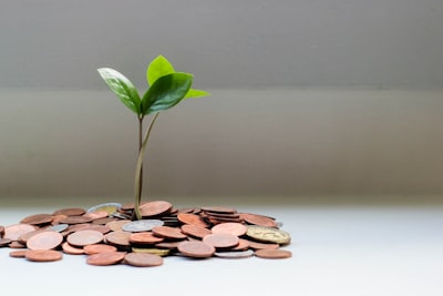 Opportunity cost — упущенная выгода