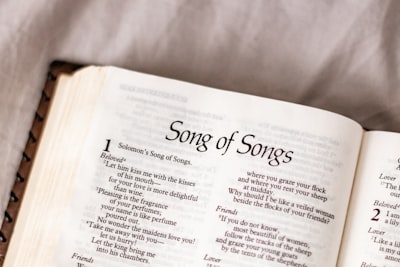 song’s — песни