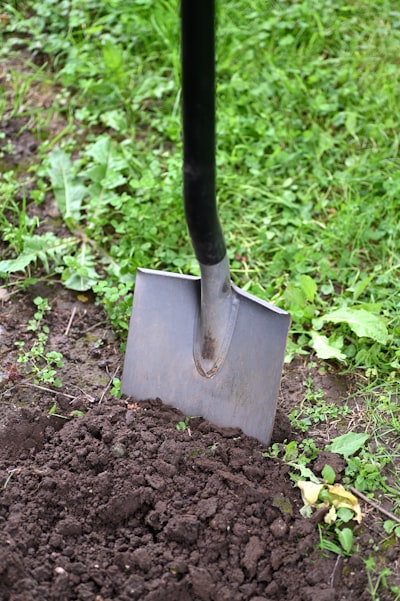dig — копать