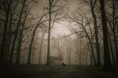 haunted — населённый призраками