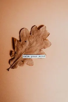 Get my head cleared — Прояснить голову