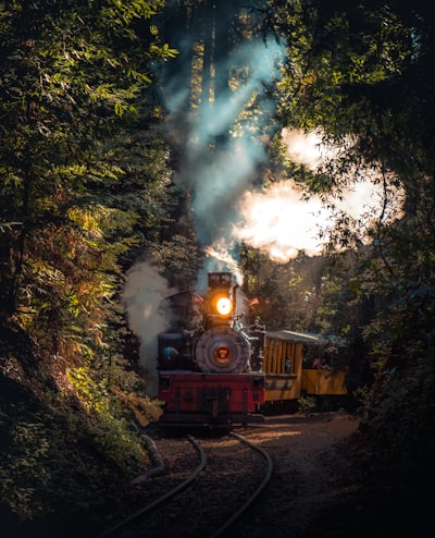 le train — поезд