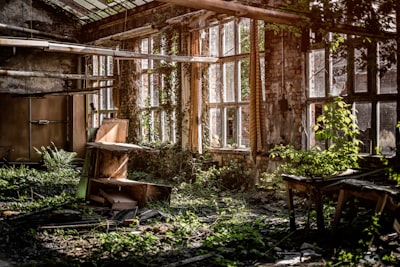 overgrown — заросший