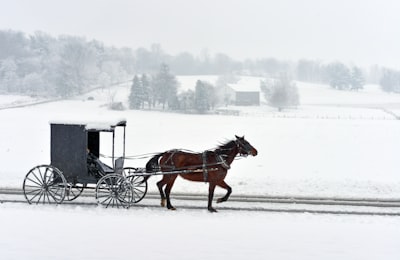 carriage — карета