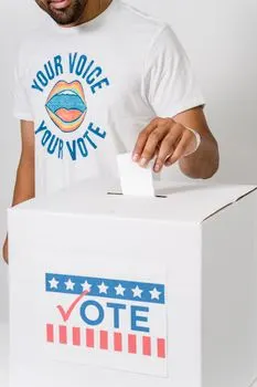 Disenfranchised — Лишенные прав