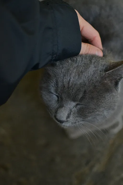 vastukarva olema — быть не по нутру