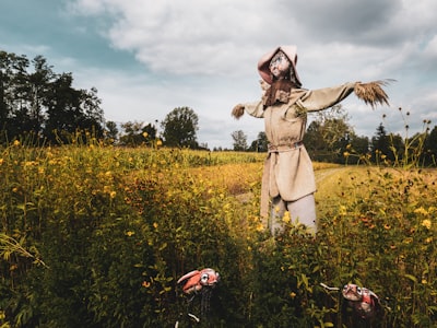 Scarecrow — пугало
