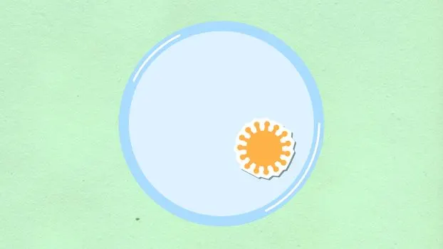 Buccal cells — щечные клетки
