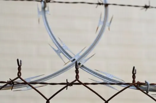 barbed — Колючие