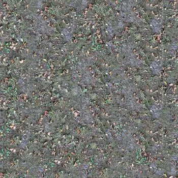 bare ground — голая земля