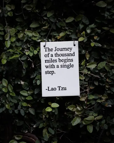 quotation — цитата