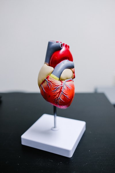 Exultation of the heart — ликование сердца