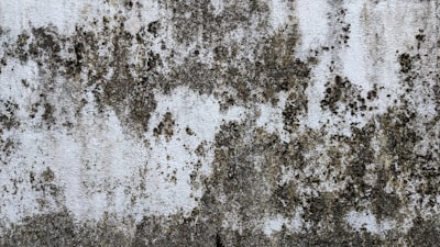 mud-stained — испачканный грязью