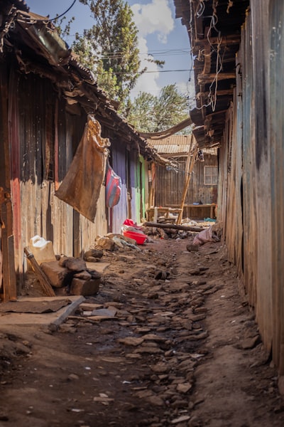 slum — трущобы