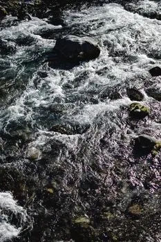 Upriver — Вверх по реке