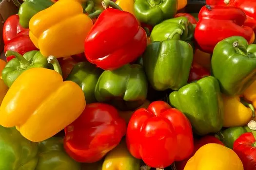 Paprika — болгарский перец