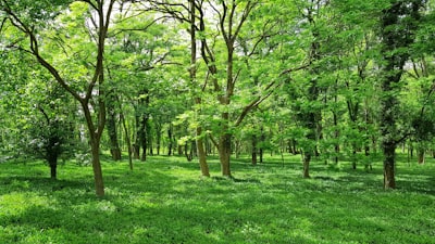 Naturschutz — охрана природы
