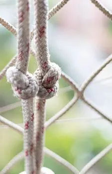 wedged between — зажатый между
