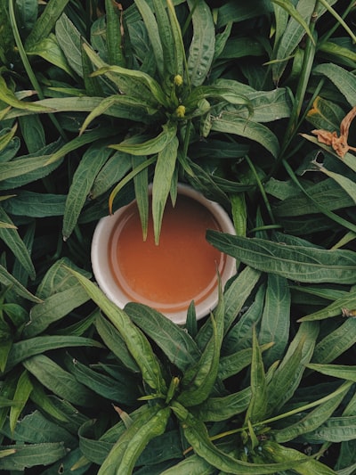 Sipped tea — потягивал чай