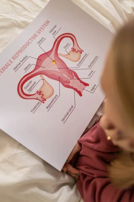 Cervical cancer — Рак шейки матки