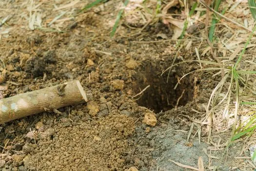 Excavated — Раскопанный