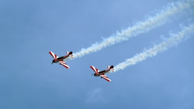le véhicule — транспортное средство