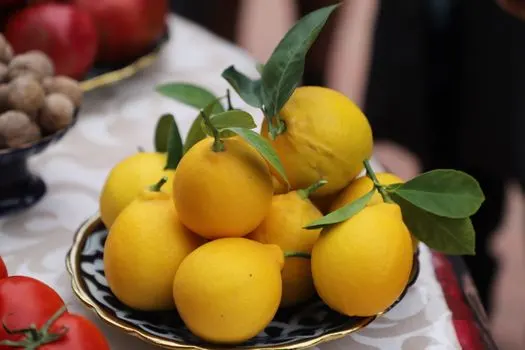 lemons — Лимоны