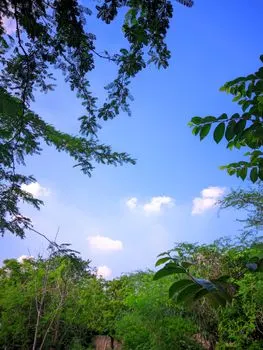scenery — пейзаж